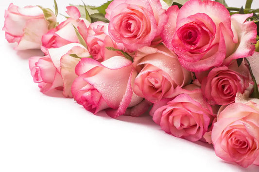 Rose Toy Review: How to Use, Clean, and Get the Most Out of Your Pleasure