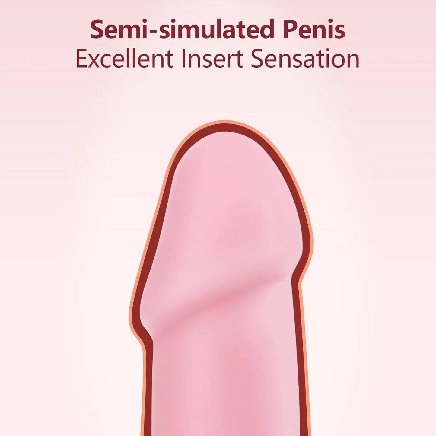 Realistic Dildo Anal Plug Training Sets for Beginners Lifelike